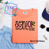 Colorful Senior 2026