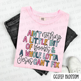 Little Books Lotta Jesus Tee