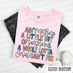 Little Sunshine Lotta Jesus Tee