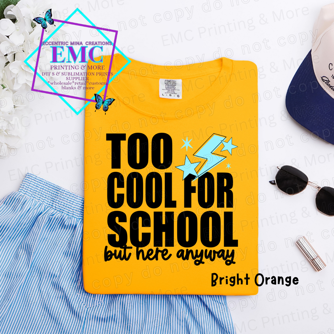 Boy Too Cool For School