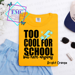 Boy Too Cool For School