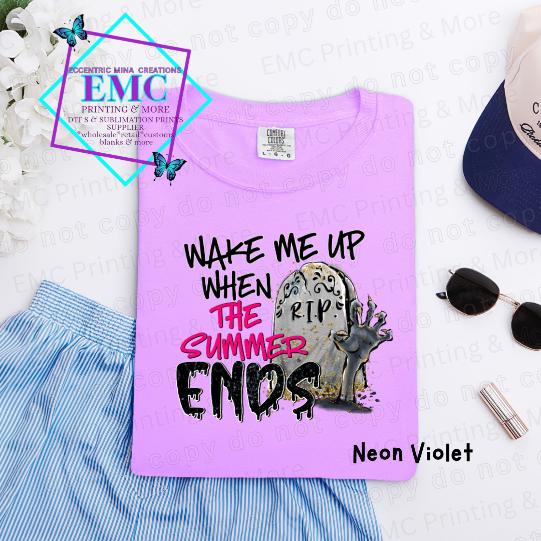 Wake Me Up When The Summer Ends Tee