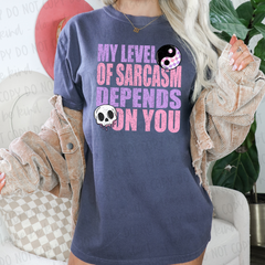 DTF Transfer My Level Of Sarcasm Depends On You (3-5 Business Day TAT)